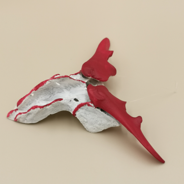 Waechter R 16 – Bild 3