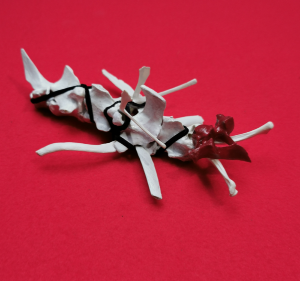 Outsect Redhead R 24 – Bild 3