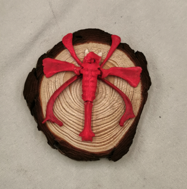 Auri Insect R 41 – Bild 3