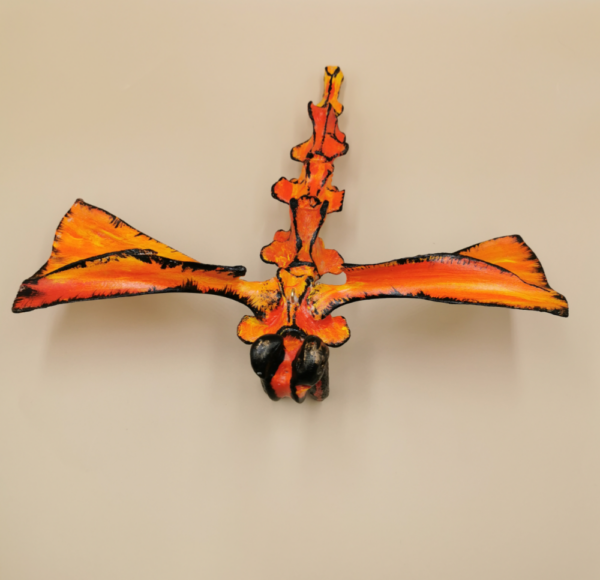 Outsect Feuerdrache R 48 – Bild 2