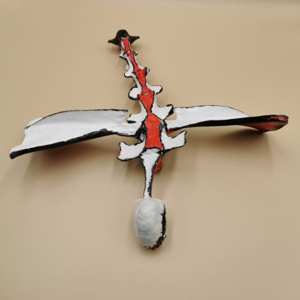Outsect Saurier R 47 – Bild 4