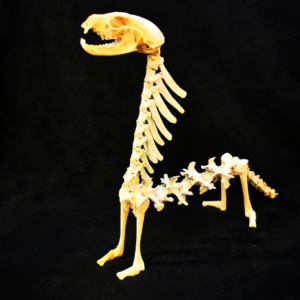 Dachs Dämon Tierskulptur