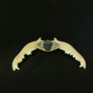 Kojote Teufel Knochendekoration